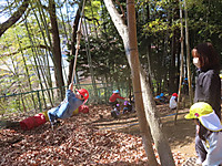 Img_8806