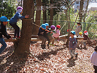 Img_8808