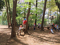 Img_8934
