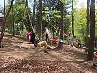 Img_8943