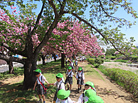 Img_8949