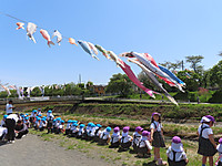 Img_8953
