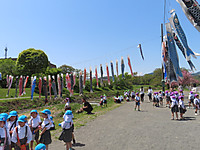 Img_8955