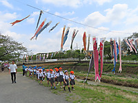 Img_8960