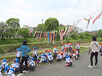Img_8961