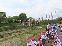 Img_8963