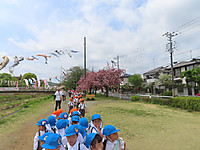Img_8965