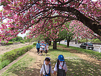 Img_8966