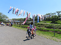 Img_9007