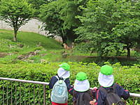 Img_9048