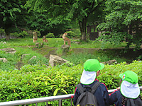 Img_9050