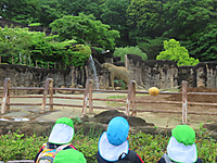 Img_9054