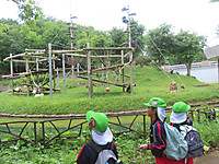 Img_9057
