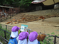 Img_9070