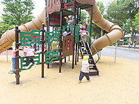 Img_9081