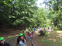 Img_9091