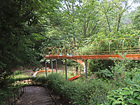 Img_9099