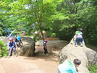 Img_9106