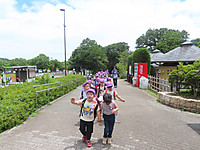 Img_9242