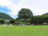 Img_9244