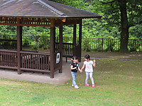 Img_9253