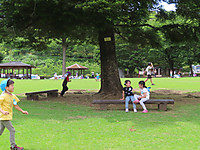 Img_9256