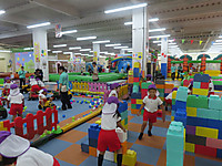Img_9317
