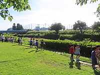 Img_9331