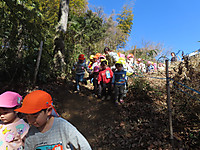 Img_0003