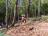 Img_0006