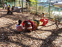 Img_0008