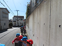 Img_9988