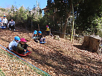 Img_9994