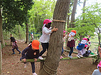 Img_0829