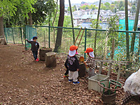 Img_0835