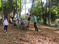 Img_0850