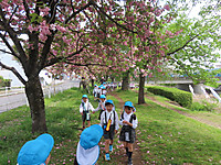 Img_0858