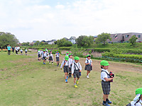 Img_0861