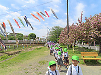 Img_0867