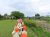 Img_0873