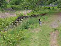 Img_0875