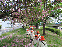 Img_0877