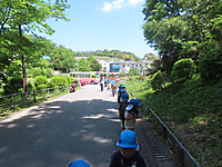 Img_0916