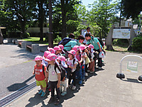 Img_0964