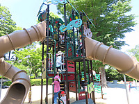 Img_0968