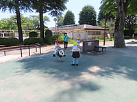 Img_0975