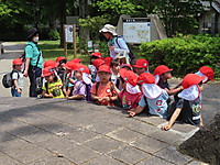Img_0982