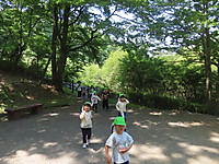 Img_0986