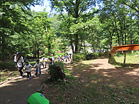 Img_0987